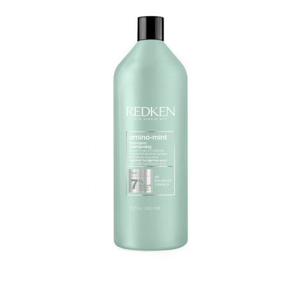 Redken Amino Mint Shampoo
